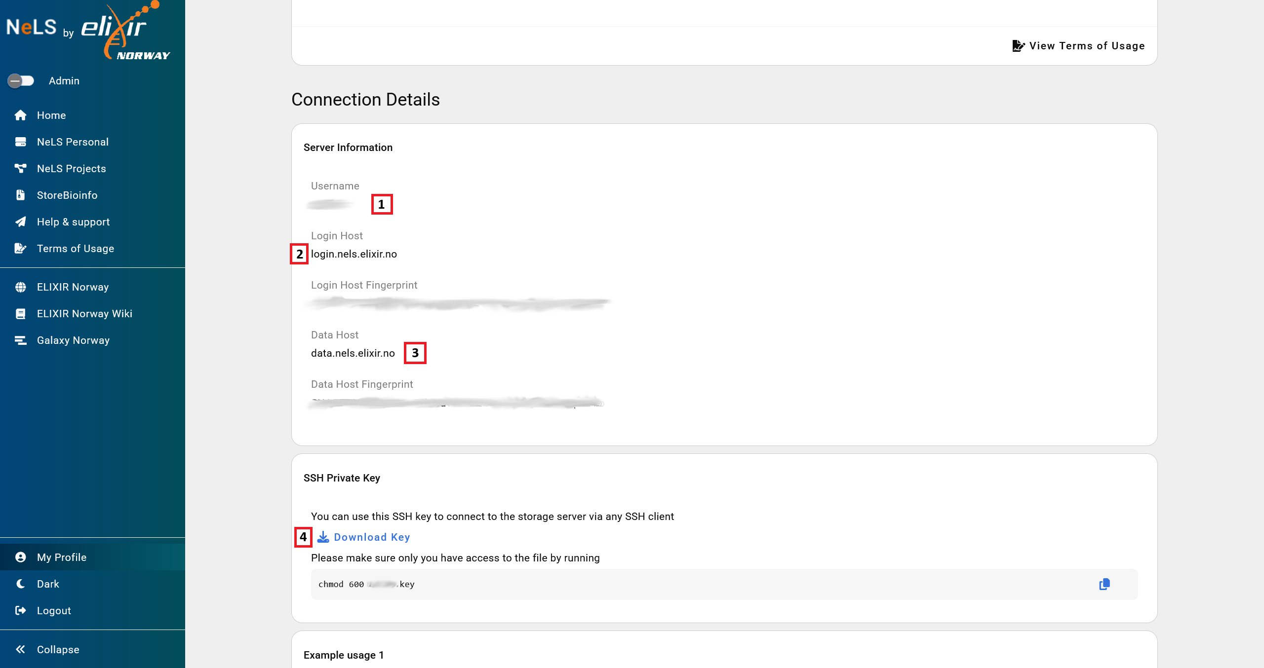 NeLS Connection Details